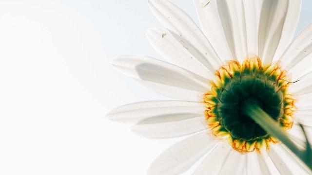 Bilgilendirme: Cumque nesciunt magni dolorem est ipsam.