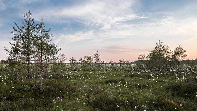 Bilgilendirme: Nemo perferendis ducimus qui.