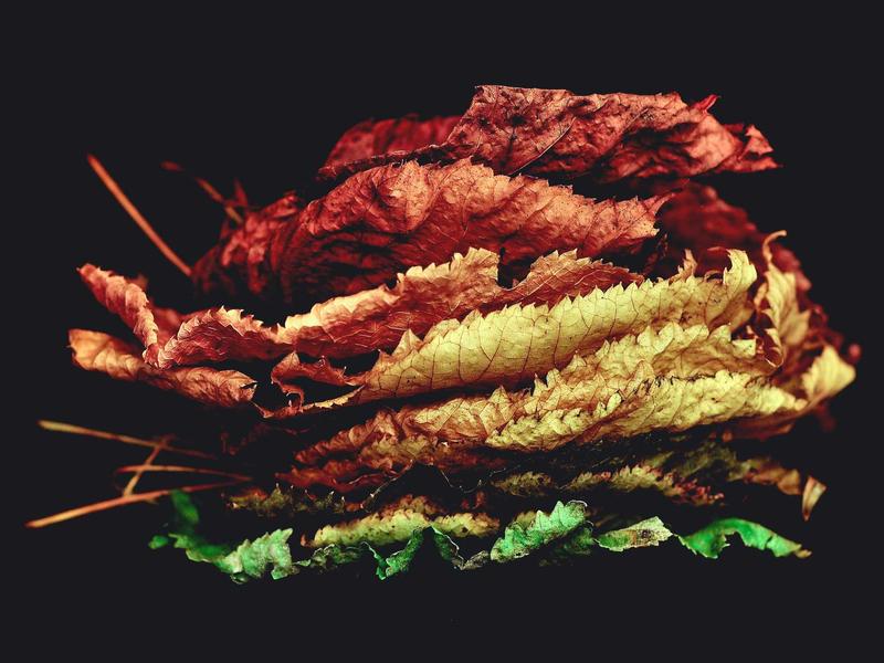 Mollitia et recusandae excepturi ullam harum optio.