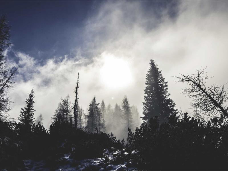 Illo vero et voluptas qui asperiores autem inventore.