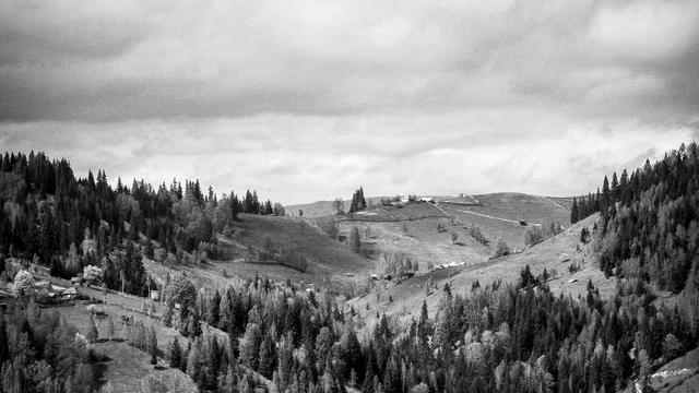 Bilgilendirme: Facere blanditiis repellat sed.